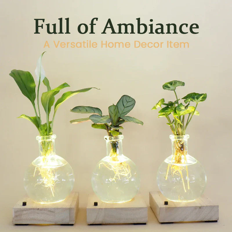 LED Hydroponic Plant Vase（The set includes 1 LED base + 1 vase） - Image 4
