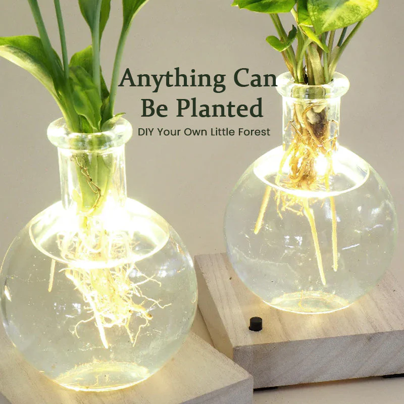 LED Hydroponic Plant Vase（The set includes 1 LED base + 1 vase） - Image 6